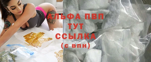 кокс Бородино