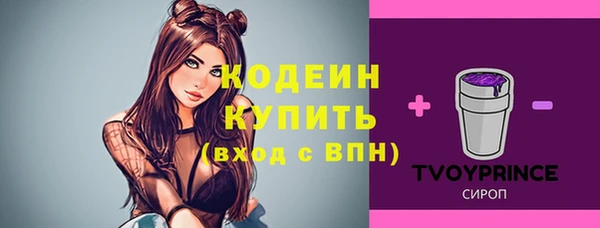 хмурый Алапаевск