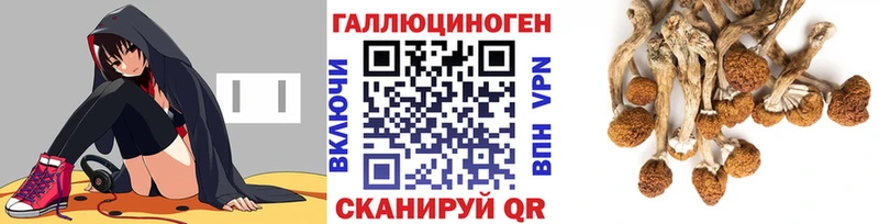 Псилоцибиновые грибы GOLDEN TEACHER  Велиж 